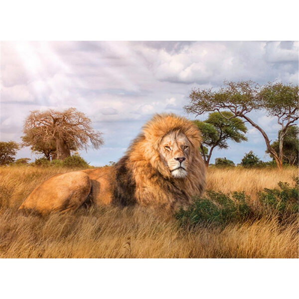 Puzzle Der König, Löwe 1000 teilig - Image 2