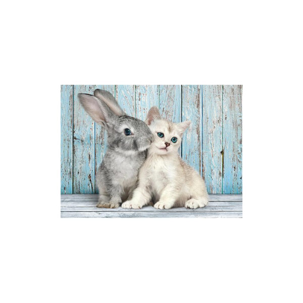 Katze & Hase