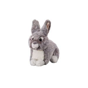 Hase