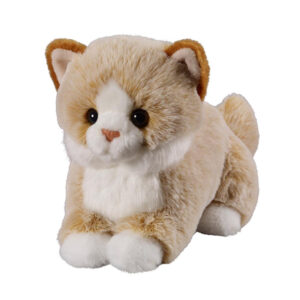 Katze