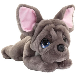 Französische Bulldogge