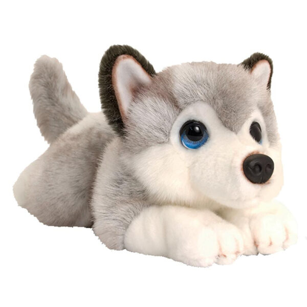 Hund Husky