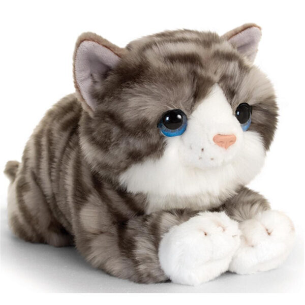 Katze