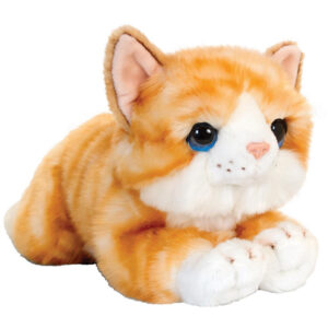 Katze
