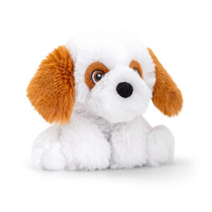 Keeleco Adoptable Hund