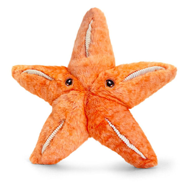 Keeleco Seestern