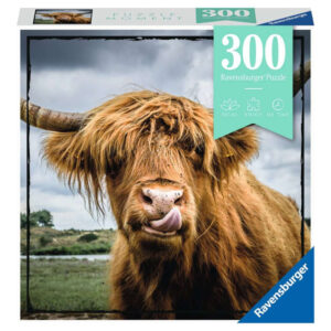 Highland Cattle