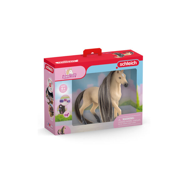 Beauty Horse Andalusier Stute