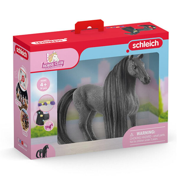 Beauty Horse Criollo Definitivo Stute