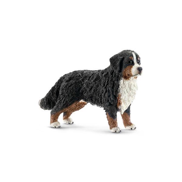 Berner Sennenhündin