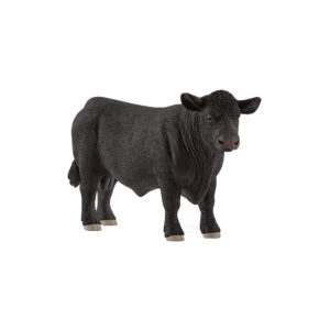 Black Angus Bulle