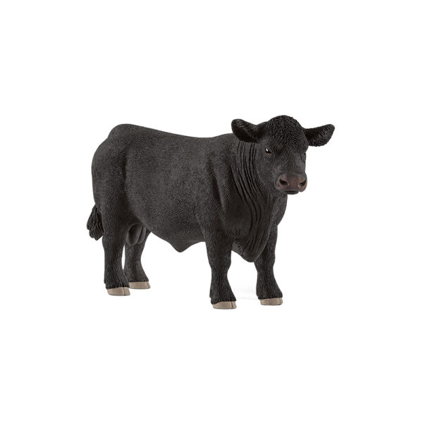 Black Angus Bulle