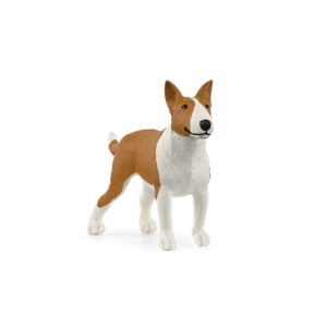 Bullterrier