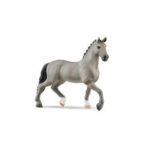 Cheval de Selle Francais Hengst