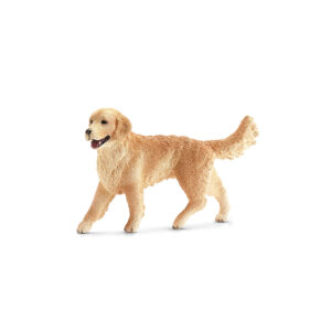 Golden Retriever Hündin