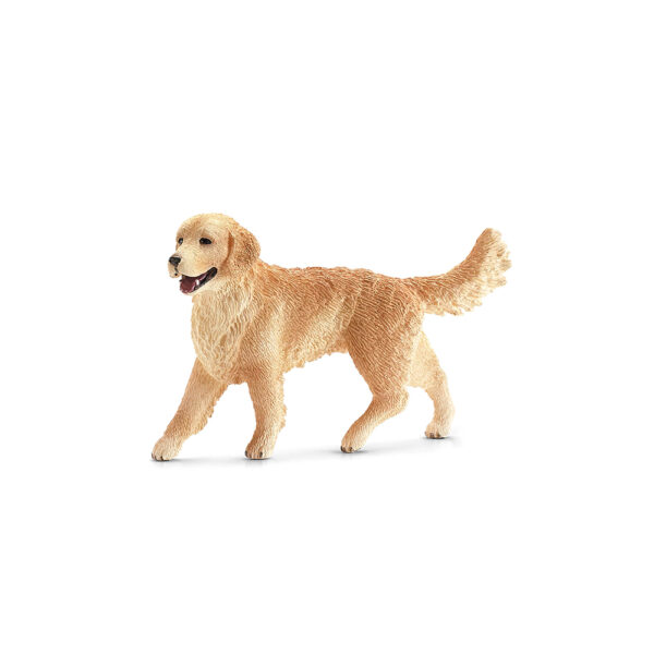 Golden Retriever Hündin