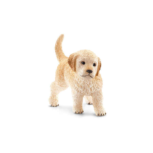 Golden Retriever Welpe