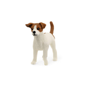 Jack Russell Terrier