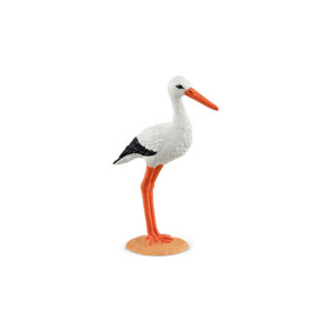 Storch