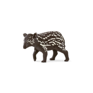 Tapir Junges