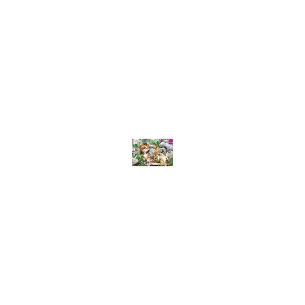 Verspielte Katzenbabys 150 Teile - Image 2