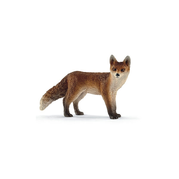 Fuchs