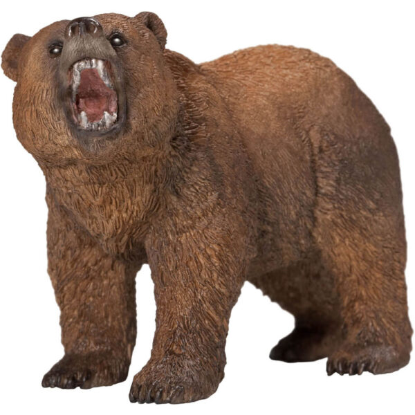 Grizzlybär