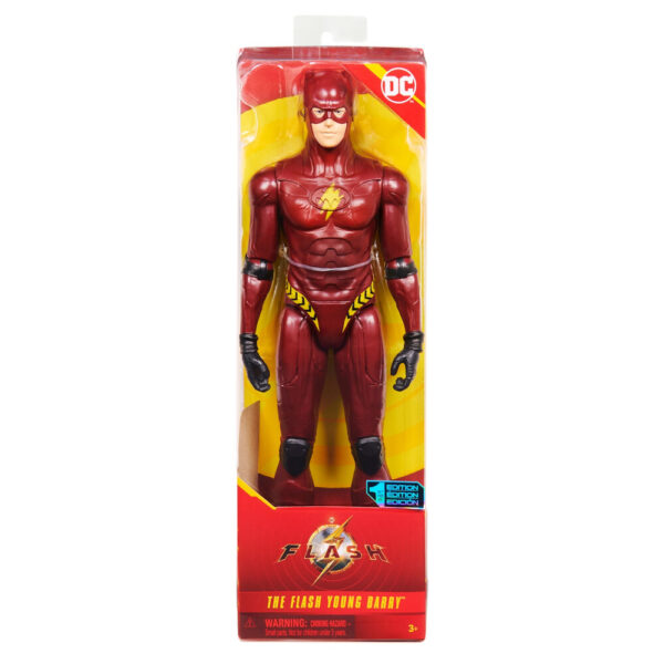 DC Flash M. 30cm Figuren ass. The Flash Movie